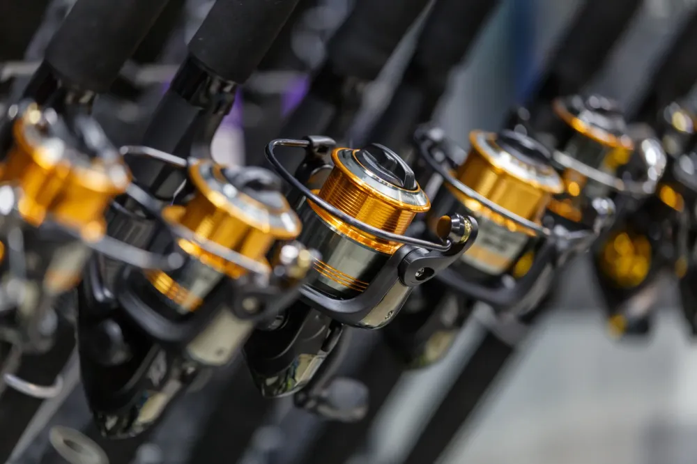 Cannes à pêche et accessoirewebp